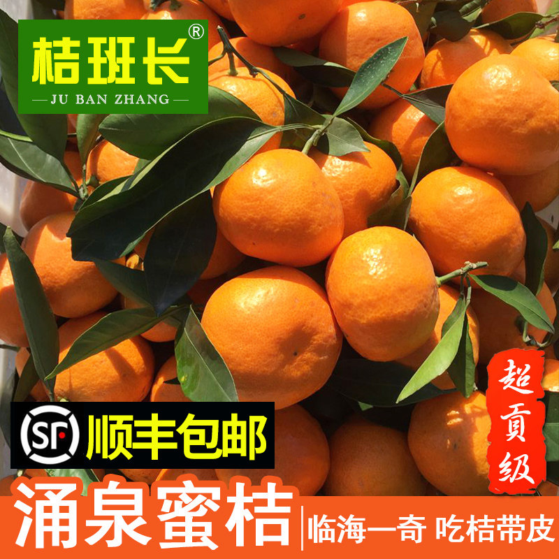 桔班长国贡级正宗临海涌泉蜜桔高山老树甜橘子新鲜水果当季现摘,水产肉类/新鲜蔬果/熟食,桔子,淘宝优惠券,粉丝福利购,淘宝优惠卷