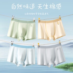 纯棉A类100A益生菌男童青少年内裤抑菌青春发育期四角平角裤