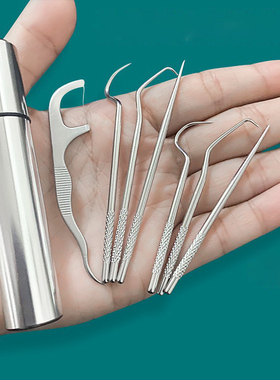 1 Set Toothpick Set Metal Stainless Steel Oral Cleaning Toot