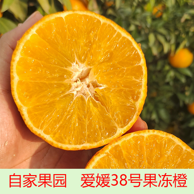 四川露天自然熟爱媛38号果冻橙
