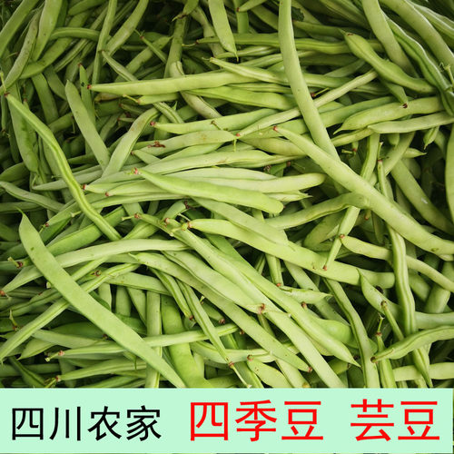四季豆新鲜5斤农家绿色蔬菜