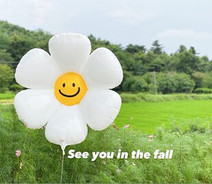 ins风清新可爱的太阳花鸡蛋花小雏菊花朵造型气球儿童生日装饰球