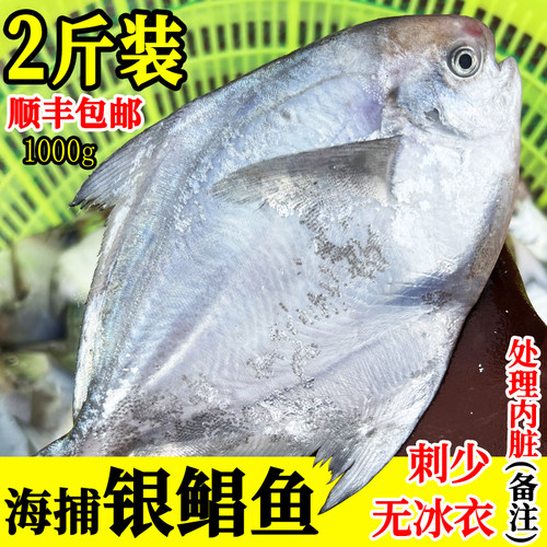 海捕银鲳鱼刺少无冰衣2斤包顺丰
