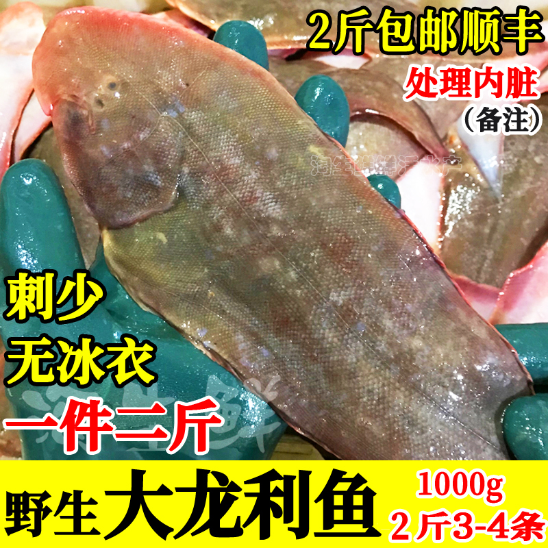 2斤约3条细鳞海捕大龙利鱼踏板鱼