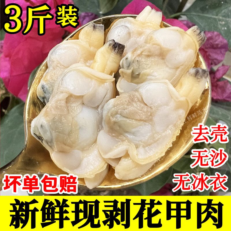 花甲肉鲜活花蛤黄蚬子肉新鲜