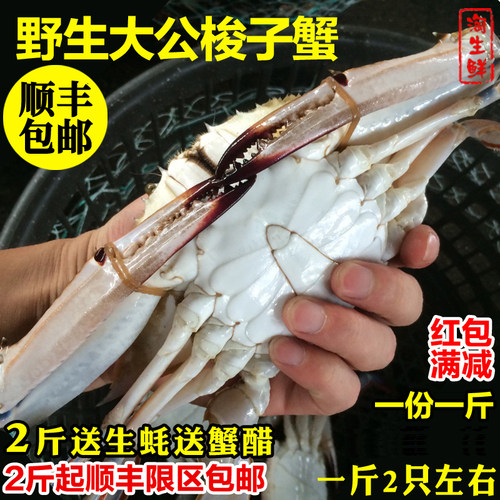 保鲜不保活大公蟹一斤约2只顺丰