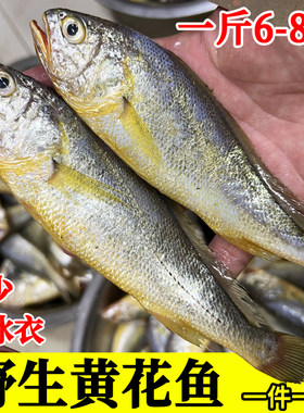 野生黄花鱼一斤6-8条小黄鱼蒜瓣