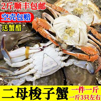 保险不保活连云港梭子蟹二母蟹