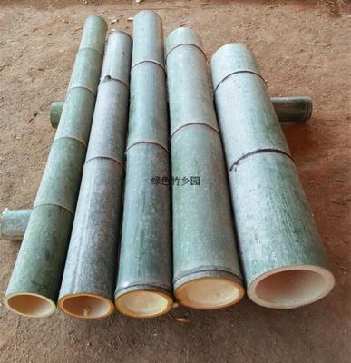 竹竿毛竹楠竹粗竹竿结实