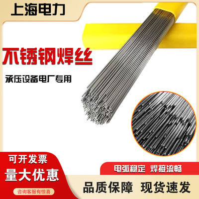 上海电力PP-TIG-309LMo焊丝