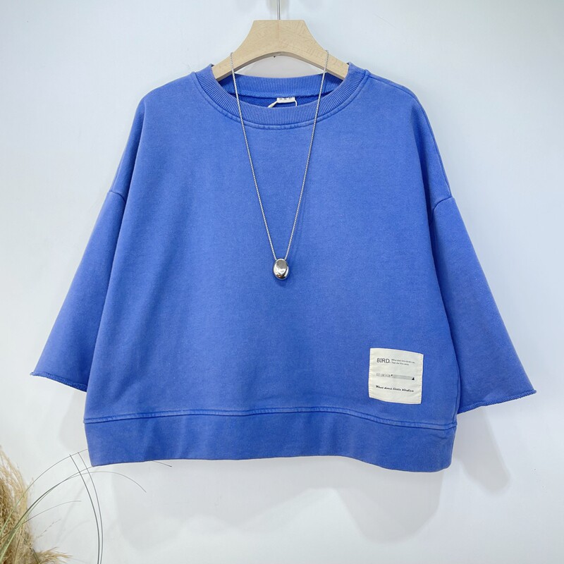 高品质蓝色圆领宽松卫衣女秋款