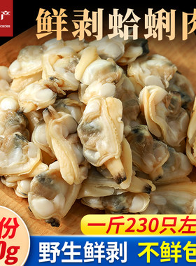 鲜活食用野生贝类花甲肉