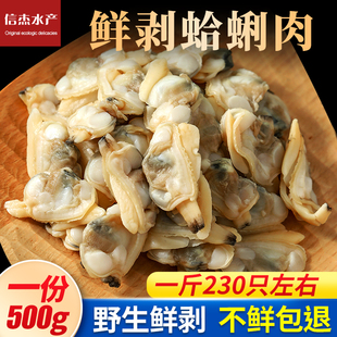 包邮 红岛蛤蜊肉新鲜花甲肉 鲜活食用野生海鲜无沙蚬子肉贝类花蛤肉