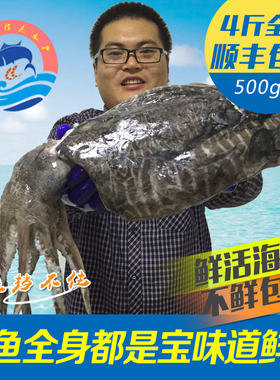 野生大墨鱼鲜活目鱼冷冻水产深海