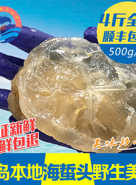 青岛野生海蜇头即食凉拌菜包邮鲜活海蜇三矾处理新鲜面蛰鲜海蜇皮