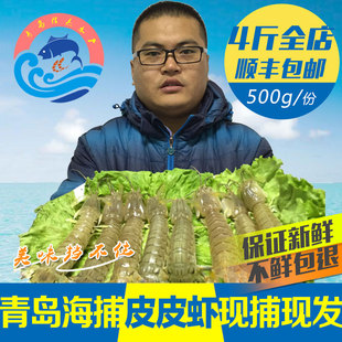 皮皮虾野生虾爬子濑尿虾琵琶虾包邮新鲜海鲜爬爬虾鲜活水产活虾虎