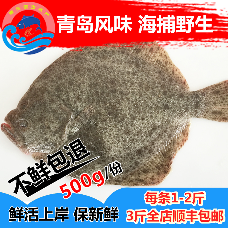 鮮活多寶魚新鮮海鮮海魚包郵活魚速凍水產(chǎn)高眼魚鰈魚牙片魚比目魚