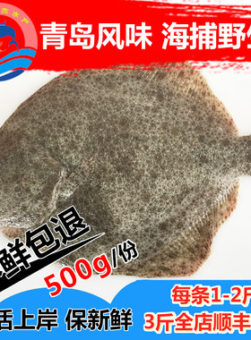 鲜活多宝鱼新鲜海鲜海鱼包邮活鱼速冻水产高眼鱼鲽鱼牙片鱼比目鱼