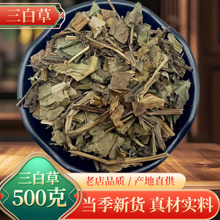 三白草 天性草 塘边藕 天然新货白花莲 根中药材500克
