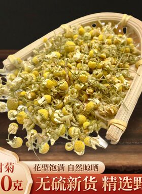德国式洋甘菊500g克正品