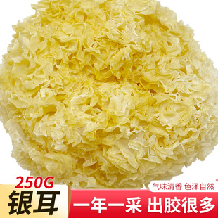 无硫新货银耳干货250克 丑耳特产白木耳小朵糯耳银耳莲子羹材料