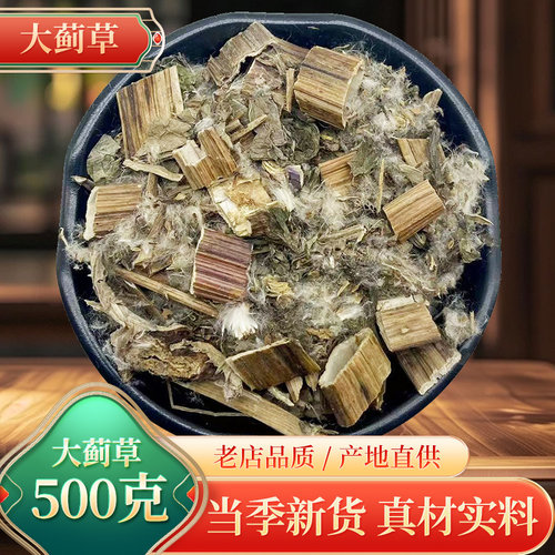 中药材野生大蓟马刺草人