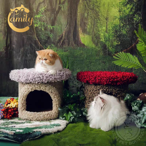 Camily蘑菇墩猫爬架猫树猫窝猫爬架二合一猫抓柱宠物用品