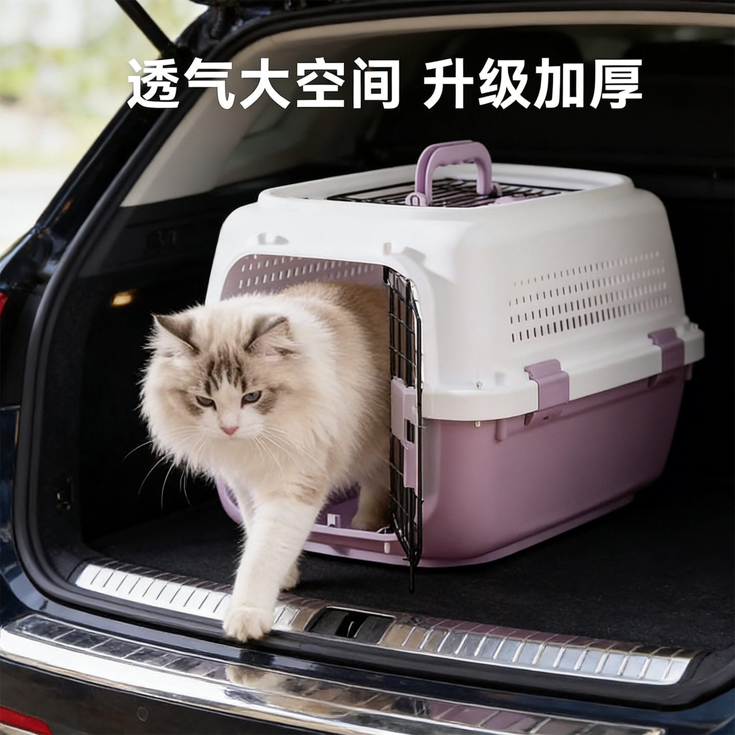 宠物猫狗外出车载便携航空箱