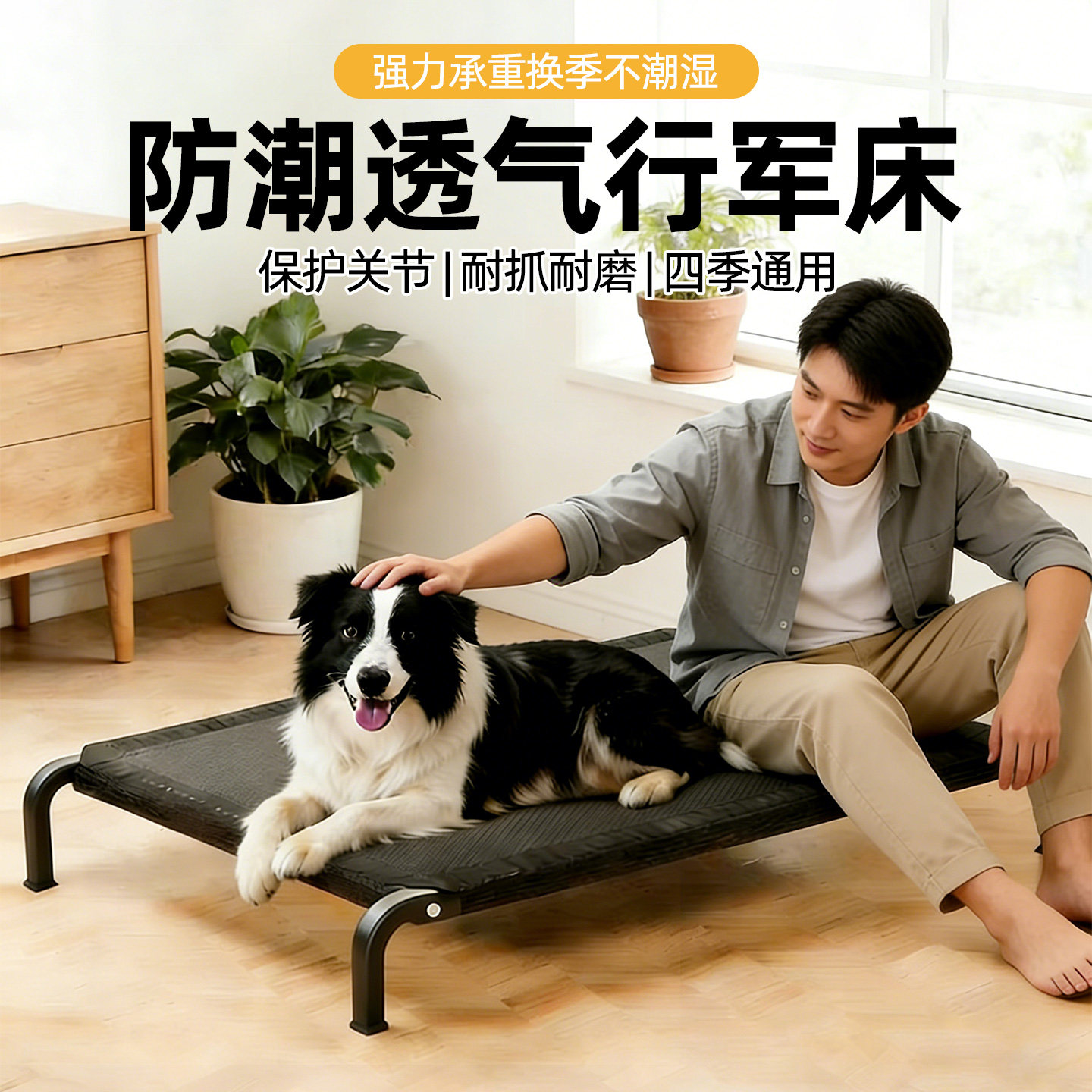 狗狗行军床四季通用宠物离地床防潮夏季狗窝中小型犬狗狗睡觉垫子