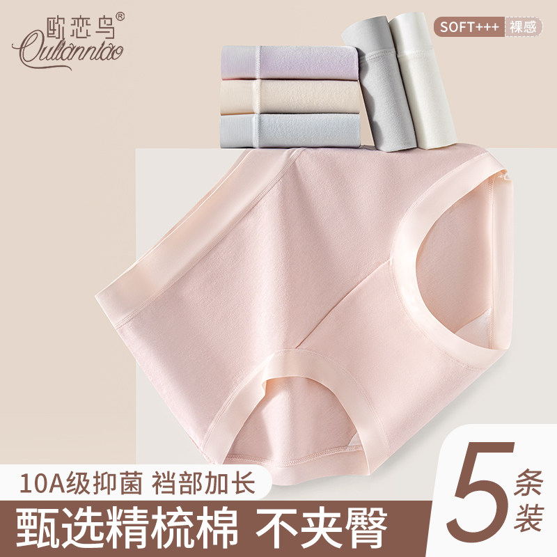 内裤女士纯棉短裤不夹臀2025新款
