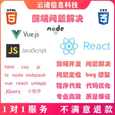 前端代码问题  vue react web 小程序设计 echarts可视化 bug处理