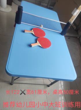 儿童款乒乓球桌幼儿园小学生中大班三四五年级小孩训练家用球台10