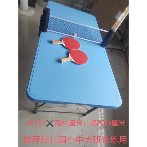 儿童款乒乓球桌幼儿园小学生中大班三四五年级小孩训练家用球台10