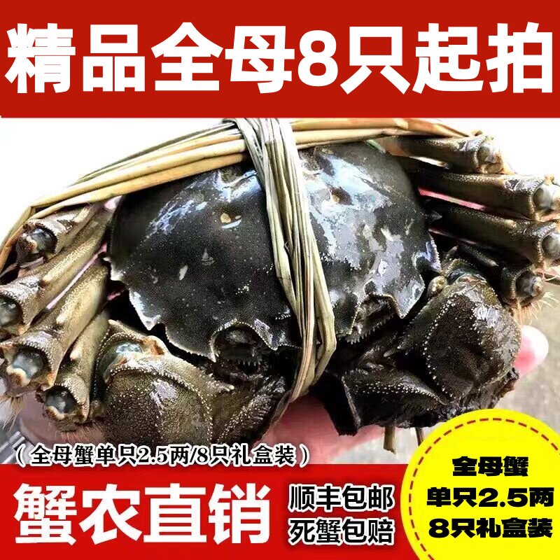 活蟹精品全母去绳实重8只起拍梁大闸蟹