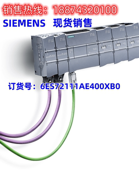 CPU 1211C   DC/DC/DC,6输入/4输出,集成2AI  6ES7211-1AE40-0XB0