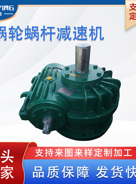 CWS500-6.3-1/2/3/4/F圆弧齿蜗轮蜗杆减速机聪颖涡轮涡杆减速器