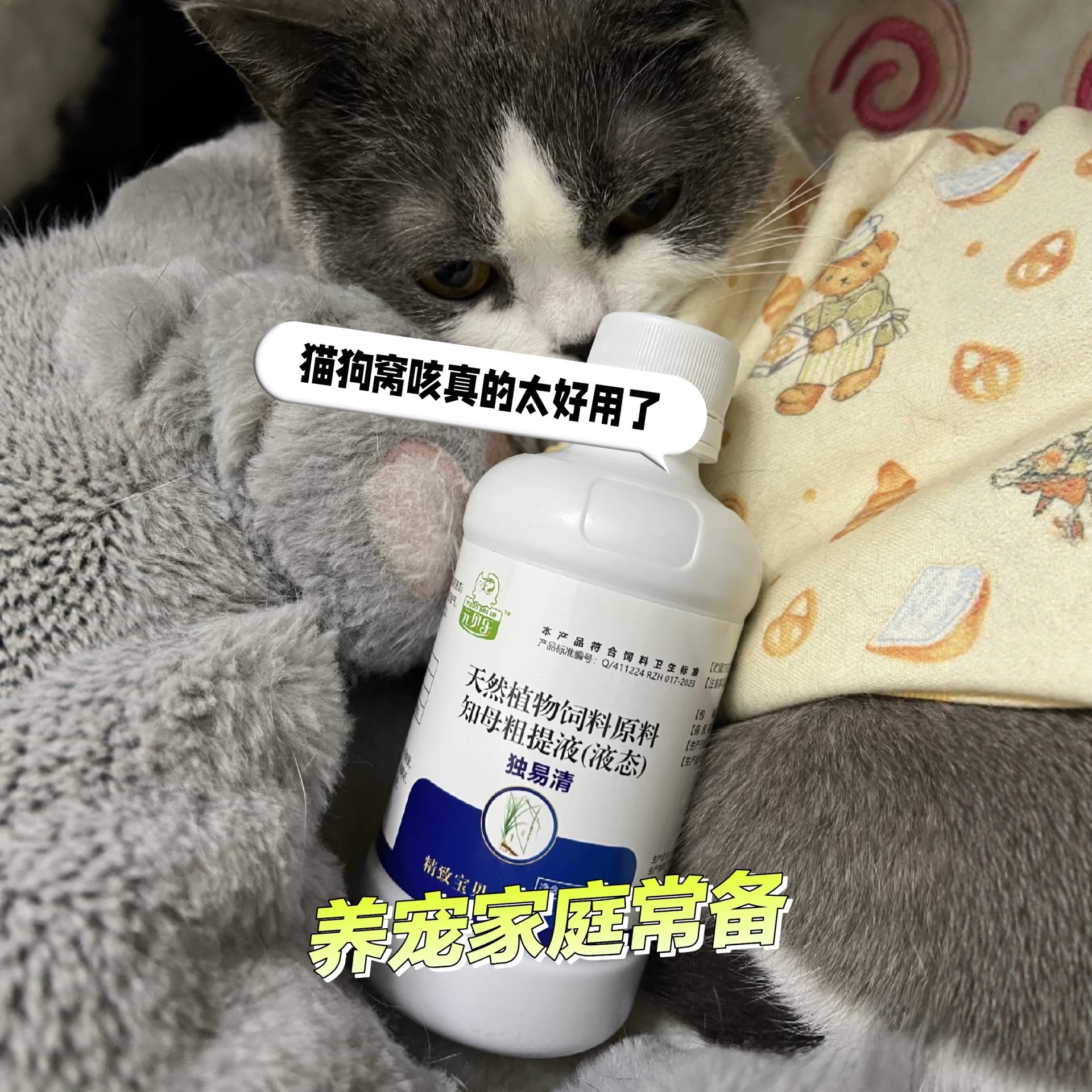 独速清二代【独易清】猫狗通用 正品保障 温和不伤宠 幼宠可用