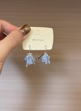 蓝色水晶锆石流苏耳环