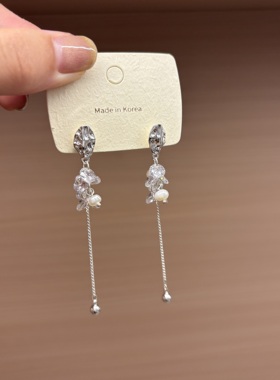 长款流苏夸张耳钉2025新款爆款高级感养耳洞耳环女独特漂亮气质