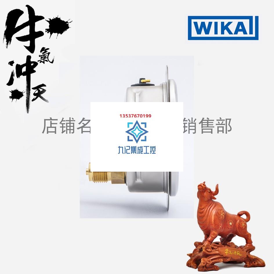 威卡wika音叉液位开关赫斯曼接头g3/4套管长度活接头变送器压力调