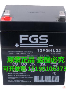 FGS蓄电池12FGHL22/12V5AH(丹麦) 阀控式铅酸免维护电瓶