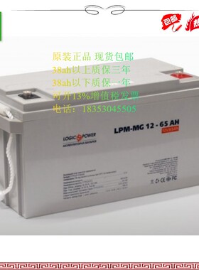 LOGICPOWER 免维护蓄电池LPM-MG 12-65AH电瓶 风能电站 电瓶