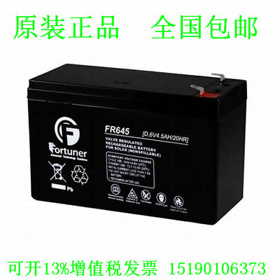 Fortuner蓄电池 FR645 (6V4.5AH) 免维护机械手臂 小电瓶