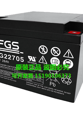 FGS蓄电池FGC22805/12V28AH(丹麦) 阀控式铅酸免维护电瓶