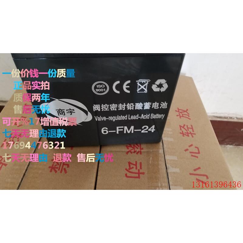 12V24AH/商宇 蓄电池6FM24直流屏UPS/EPS电源/机房专用电瓶图片