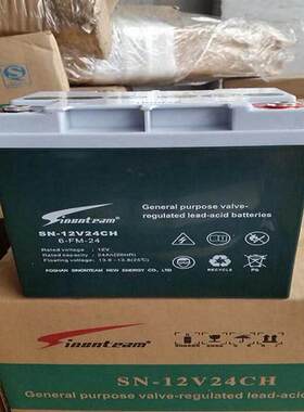 新款 赛能蓄SN-VCH/12V38AH工业储能电源 阀控密封式电池德国