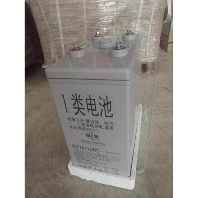双登蓄电池2V1000AH GFM-1000 UPS/直流屏电厂船舶等电力设备