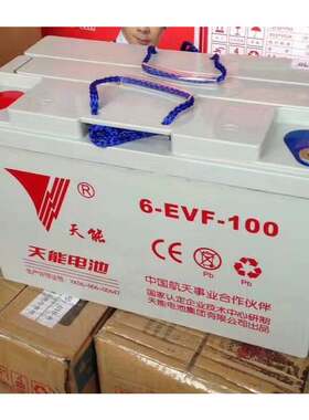 新款 天能6-EVF-/12V100AH 电动汽车洗地机免维护蓄电池