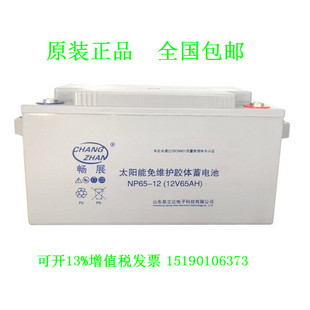 12V65AH光伏储能用胶体免维护UPS后备电源 山东畅展蓄电池NP65