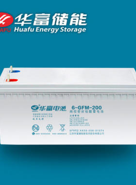 新款 华富润春牌胶体12V-200Ah 路灯储能 太阳能蓄电池